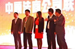北京法商公司股东会成员